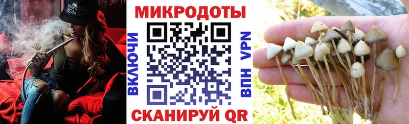 Галлюциногенные грибы Psilocybine cubensis  купить   Медвежьегорск 